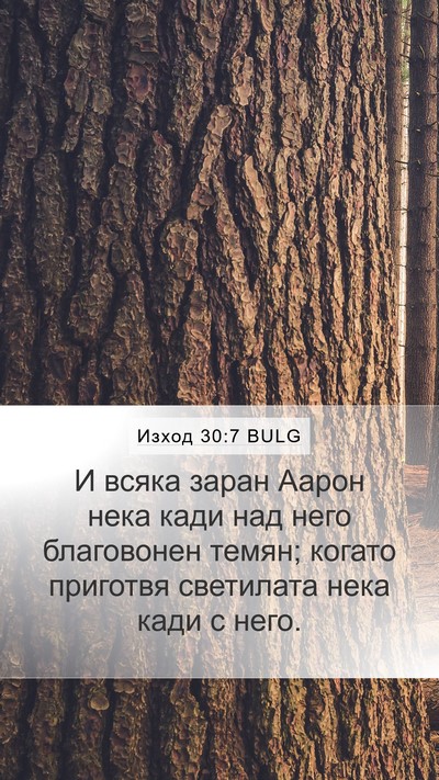 Изход 30:7 BULG Bible Verse Image