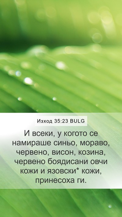 Изход 35:23 BULG Bible Verse Image