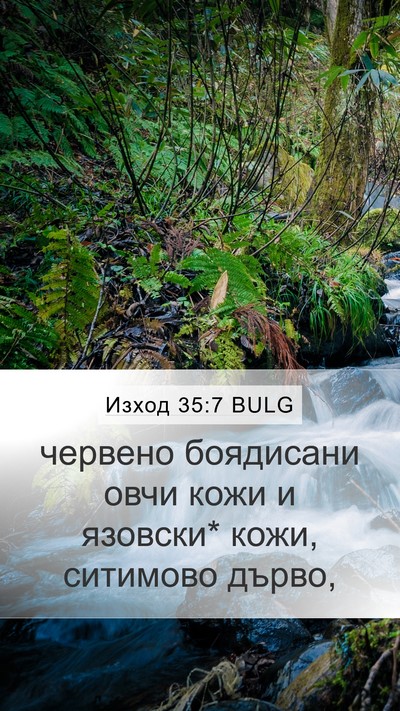 Изход 35:7 BULG Bible Verse Image