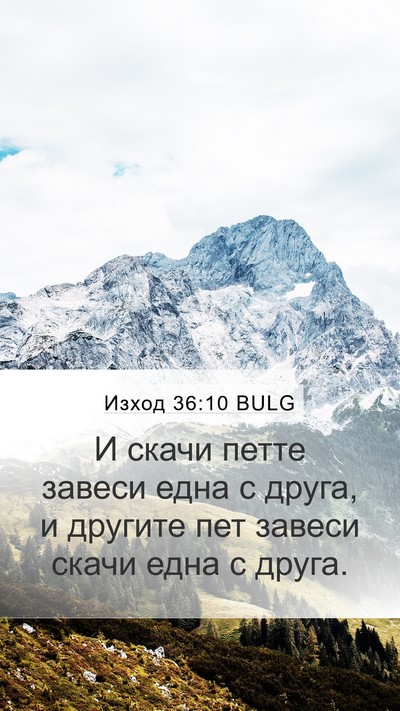Изход 36:10 BULG Bible Verse Image