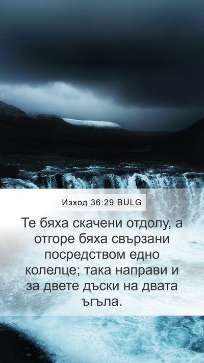 Изход 36:29 BULG Bible Verse Image