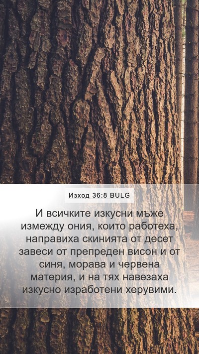 Изход 36:8 BULG Bible Verse Image