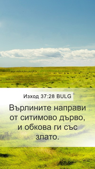Изход 37:28 BULG Mobile Phone Wallpaper - Върлините направи от - Mobile Bible Verse Wallpaper