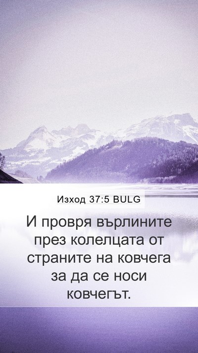 Изход 37:5 BULG Mobile Phone Wallpaper - И провря върлините през - Mobile Bible Verse Wallpaper