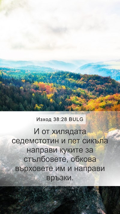 Изход 38:28 BULG Bible Verse Image