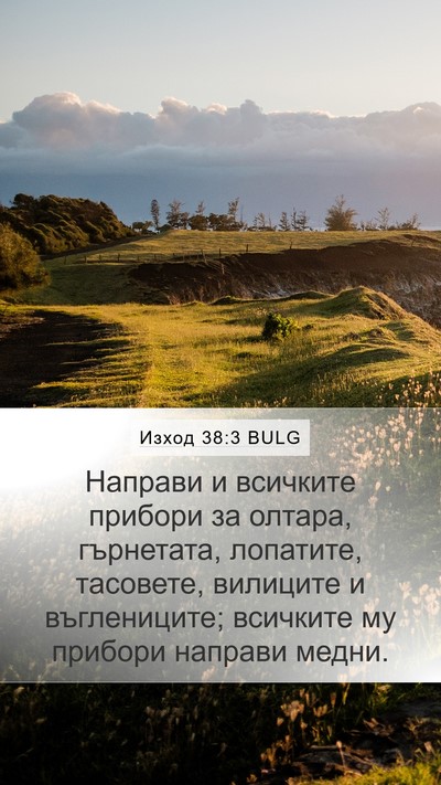 Изход 38:3 BULG Bible Verse Image
