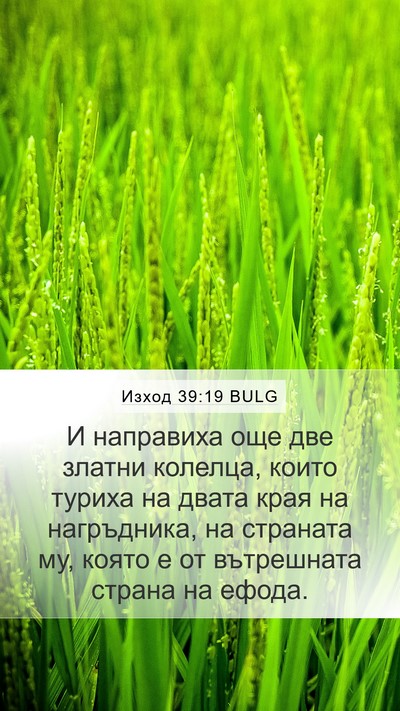 Изход 39:19 BULG Mobile Phone Wallpaper - И направиха още две златни - Mobile Bible Verse Wallpaper