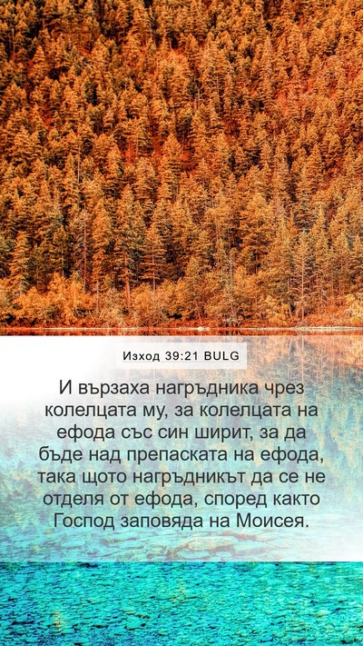 Изход 39:21 BULG Mobile Phone Wallpaper - И вързаха нагръдника чрез - Mobile Bible Verse Wallpaper
