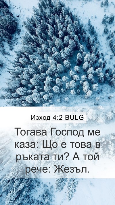 Изход 4:2 BULG Bible Verse Image