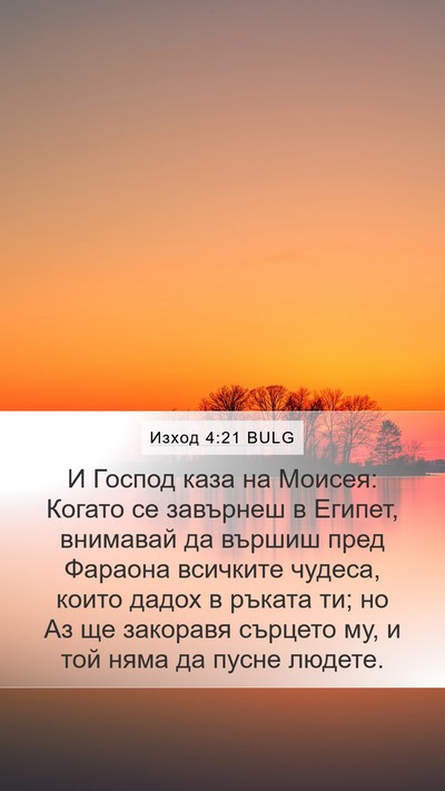 Изход 4:21 BULG Bible Verse Image