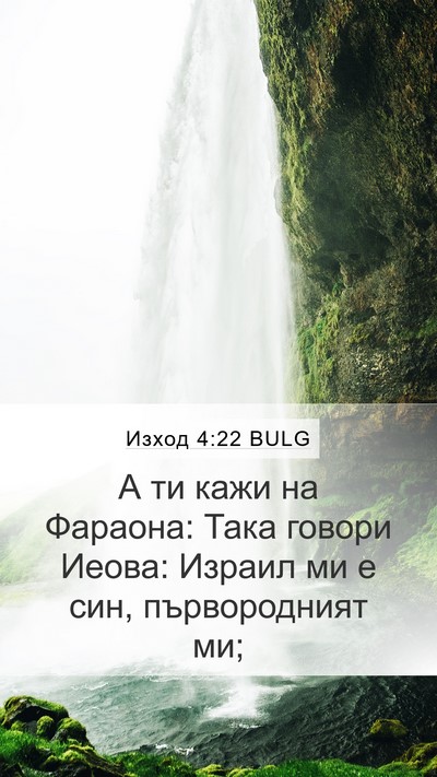 Изход 4:22 BULG Bible Verse Image