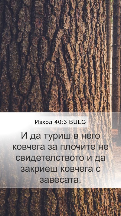 Изход 40:3 BULG Bible Verse Image