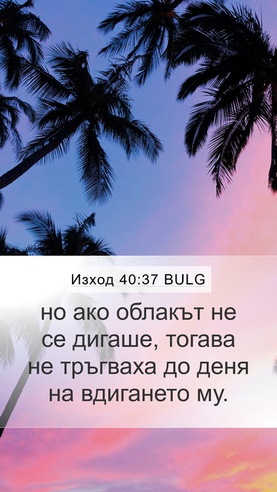 Изход 40:37 BULG Mobile Phone Wallpaper - но ако облакът не се - Mobile Bible Verse Wallpaper