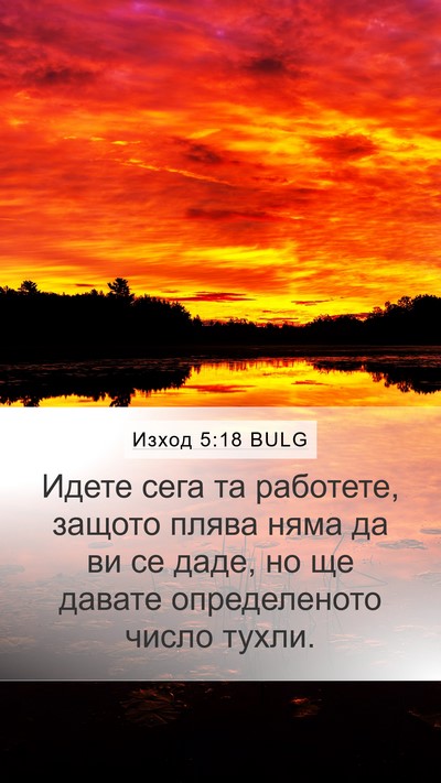 Изход 5:18 BULG Bible Verse Image