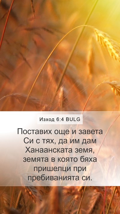 Изход 6:4 BULG Mobile Phone Wallpaper - Поставих още и завета Си с - Mobile Bible Verse Wallpaper