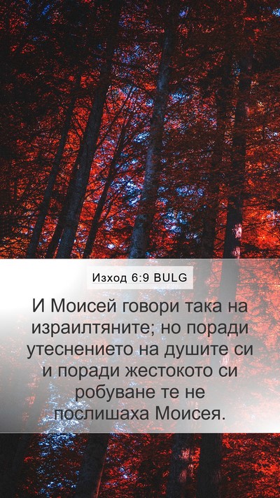 Изход 6:9 BULG Bible Verse Image