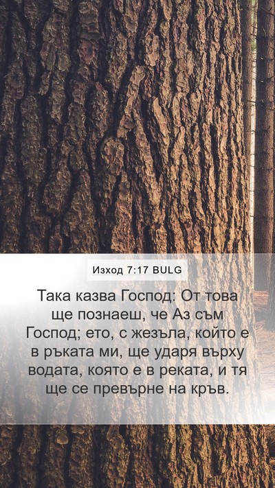 Изход 7:17 BULG Bible Verse Image