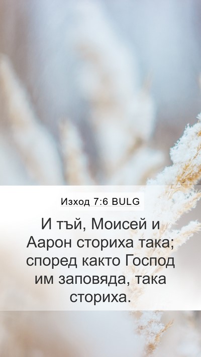 Изход 7:6 BULG Mobile Phone Wallpaper - И тъй, Моисей и Аарон - Mobile Bible Verse Wallpaper
