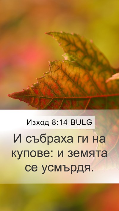 Изход 8:14 BULG Mobile Phone Wallpaper - И събраха ги на купове: и - Mobile Bible Verse Wallpaper