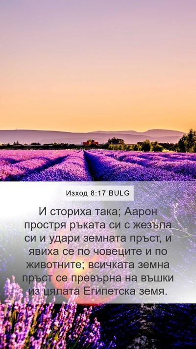 Изход 8:17 BULG Bible Verse Image