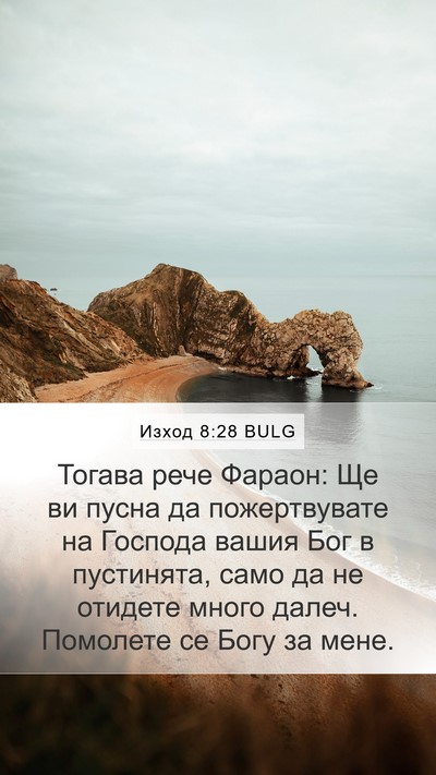 Изход 8:28 BULG Bible Verse Image