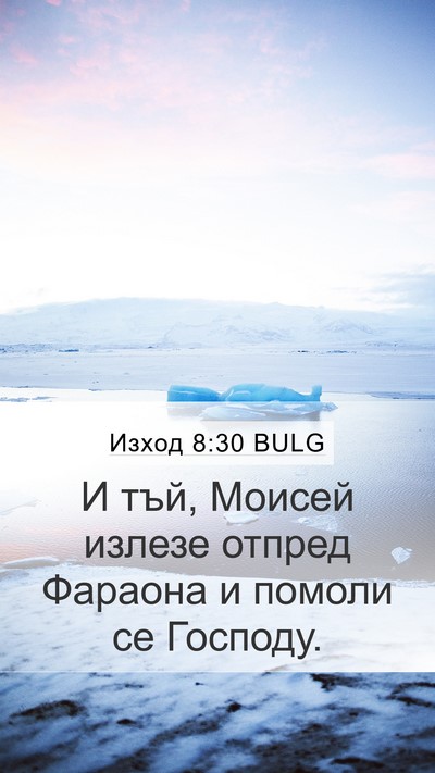 Изход 8:30 BULG Bible Verse Image