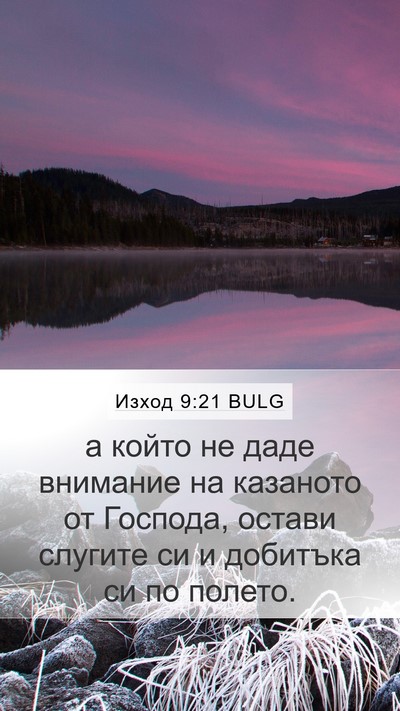 Изход 9:21 BULG Bible Verse Image