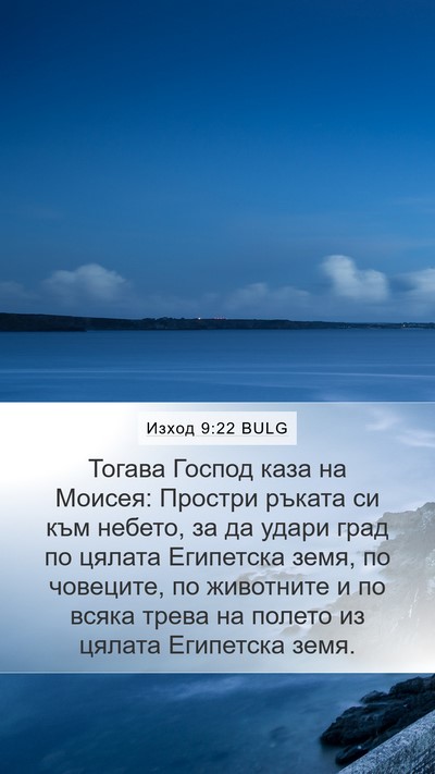 Изход 9:22 BULG Bible Verse Image
