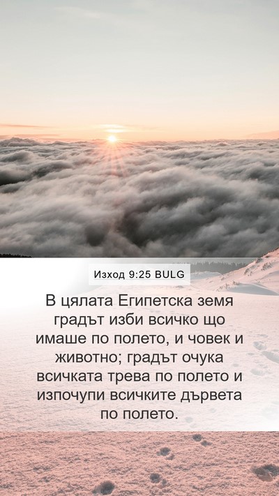 Изход 9:25 BULG Bible Verse Image