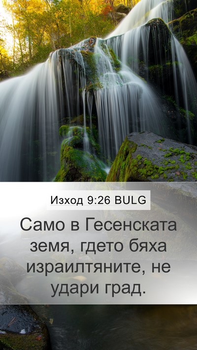 Изход 9:26 BULG Bible Verse Image