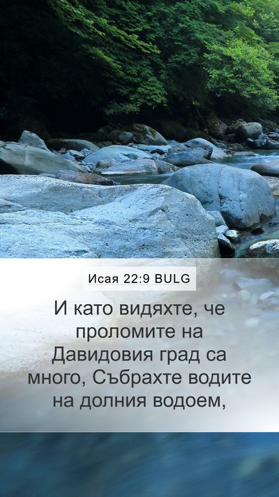 Исая 22:9 BULG Bible Verse Image