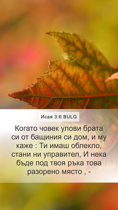 Исая 3:6 BULG Bible Verse Image