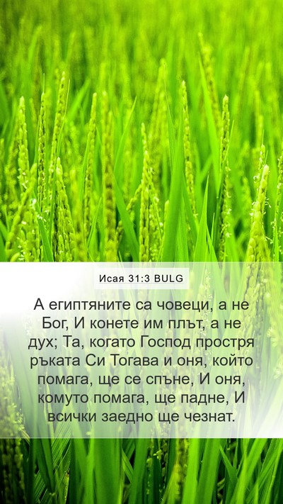 Исая 31:3 BULG Bible Verse Image