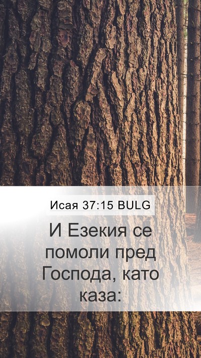 Исая 37:15 BULG Bible Verse Image