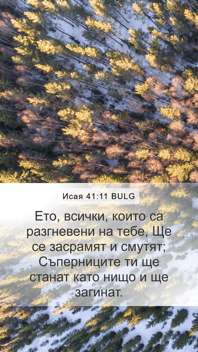 Исая 41:11 BULG Bible Verse Image