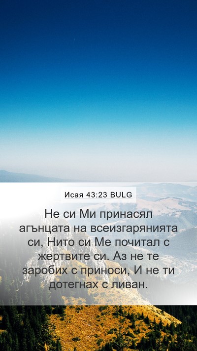 Исая 43:23 BULG Bible Verse Image