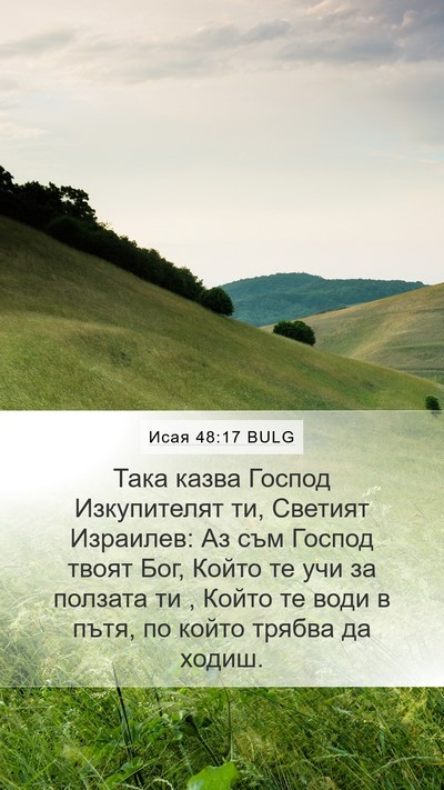 Исая 48:17 BULG Bible Verse Image