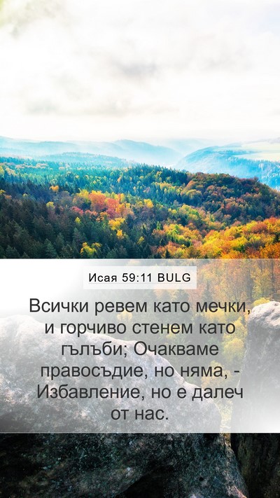 Исая 59:11 BULG Bible Verse Image