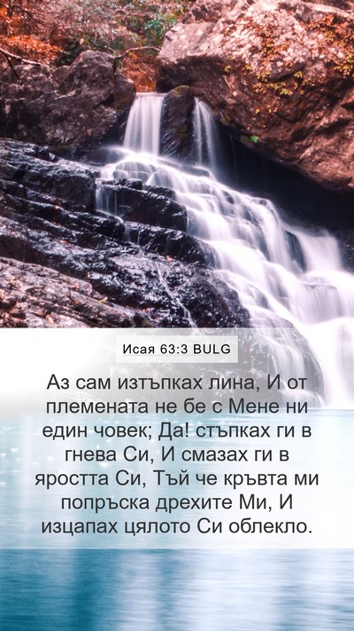 Исая 63:3 BULG Bible Verse Image
