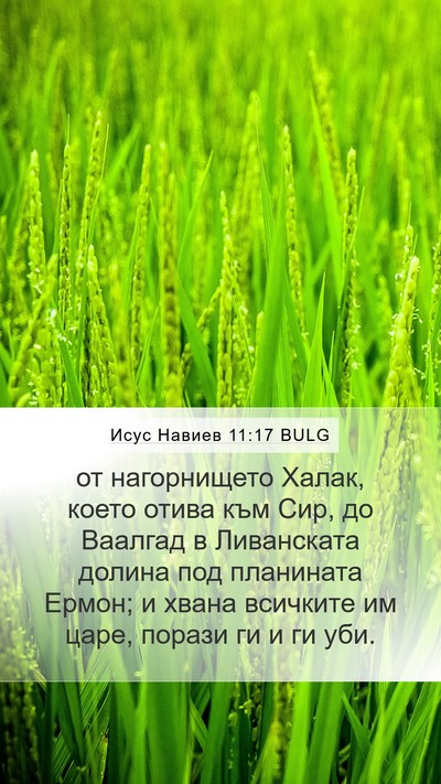 Исус Навиев 11:17 BULG Bible Verse Image