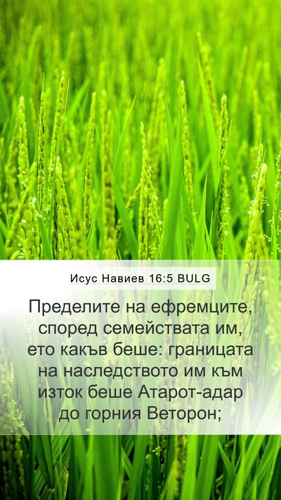 Исус Навиев 16:5 BULG Bible Verse Image