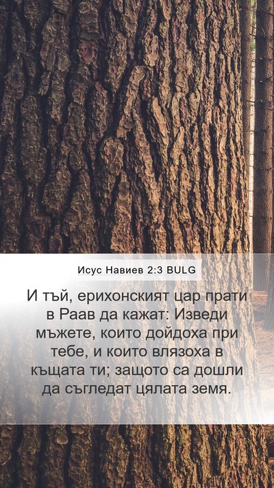 Исус Навиев 2:3 BULG Mobile Phone Wallpaper - И тъй, ерихонският цар - Mobile Bible Verse Wallpaper