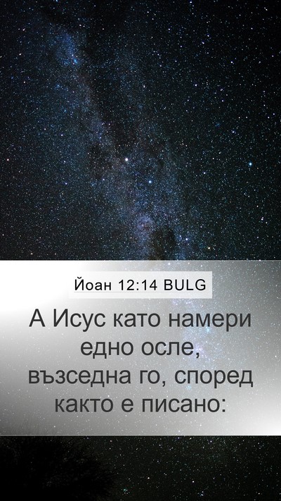 Йоан 12:14 BULG Bible Verse Image