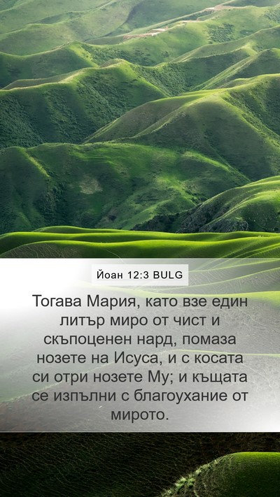 Йоан 12:3 BULG Bible Verse Image