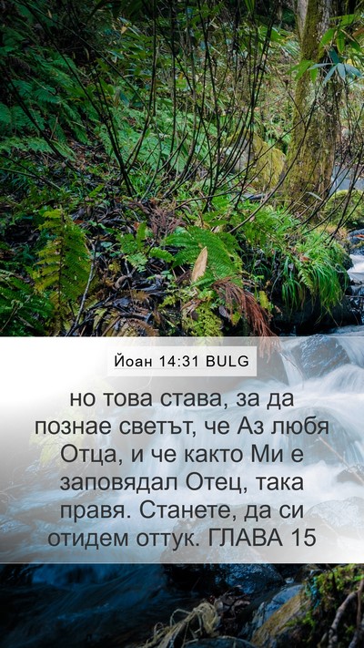 Йоан 14:31 BULG Bible Verse Image