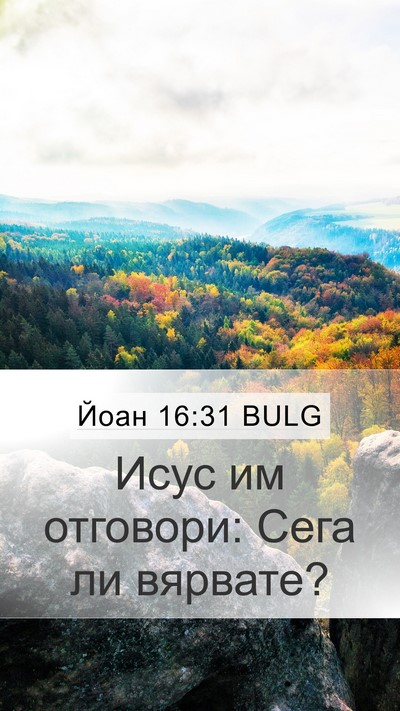 Йоан 16:31 BULG Mobile Phone Wallpaper - Исус им отговори: Сега ли - Mobile Bible Verse Wallpaper