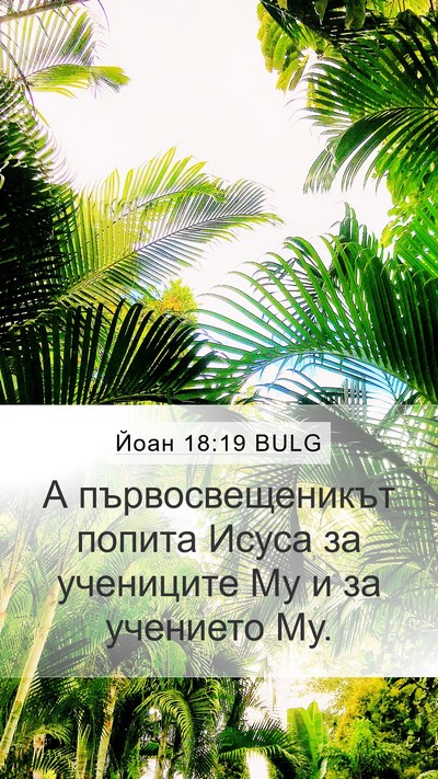 Йоан 18:19 BULG Bible Verse Image