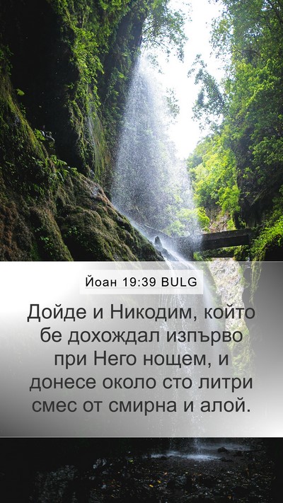 Йоан 19:39 BULG Bible Verse Image