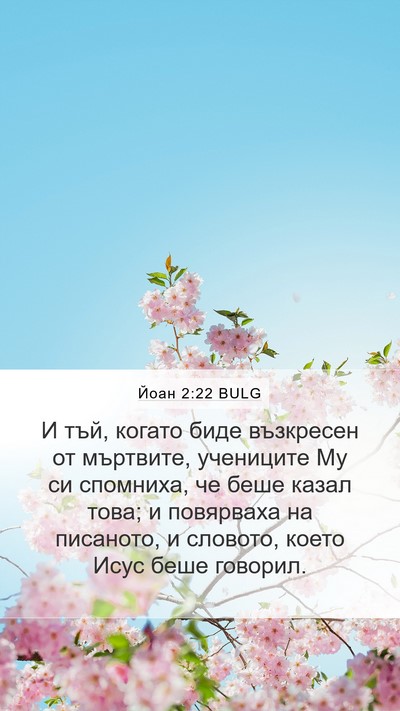 Йоан 2:22 BULG Mobile Phone Wallpaper - И тъй, когато биде - Mobile Bible Verse Wallpaper
