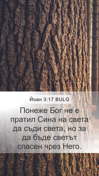 Йоан 3:17 BULG Bible Verse Image
